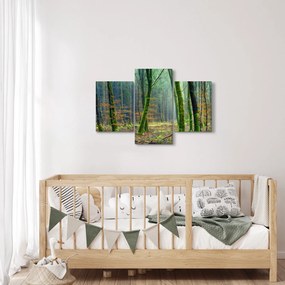 Tablou cu pădure (90x60 cm)