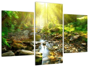 Tablou cu râul în pădurea verde (90x60 cm)