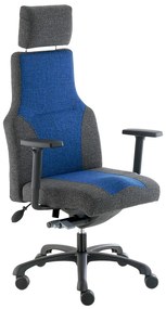 Scaun de birou Dafne, gri/albastru