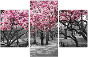 Tablou copacului magnolie (90x60 cm)