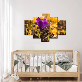 Tablou cu floare violetă (150x105 cm)