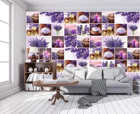 Fototapet - Lavanda - colaj (254x184 cm)