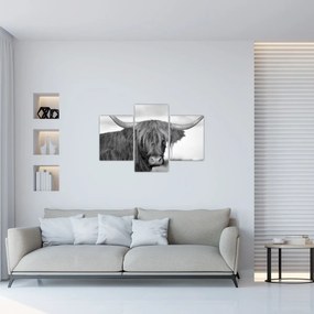 Tablou - Vacă scoțiană 2,alb-negru (90x60 cm)
