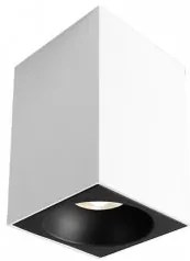 Spot aplicat/plafoniera GU10 BH04-00110 Braytron