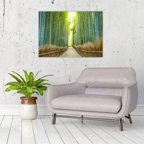 Tablou pe sticlă - Pădure de bambus (70x50 cm)