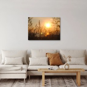 Tablou cu răsărit de soare (70x50 cm)