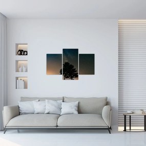Tablou cu cerul nocturn și copaci (90x60 cm)