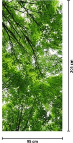 Fototapet pentru ușă - Coroana copacilor (95x205cm)