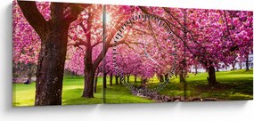 Tablou - Cireși înfloriți, Hurd Park, Dover, New Jersey (cu ceas) (90x30 cm)