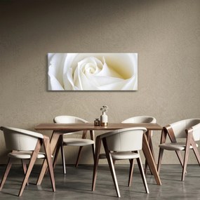 Tablou cu tandafir alb (120x50 cm)