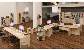 Bibliotecă TEMPO ASISTENT 001, stejar sonoma