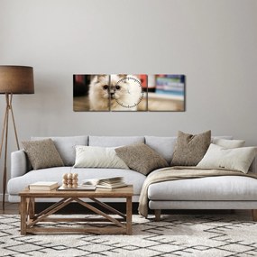 Tablou cu pisica albăr (cu ceas) (90x30 cm)