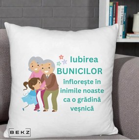 Cadou pentru Bunici - Perna Personalizata Bunicii Iubirea Infloreste cu Nepoata Teal, 40x40 cm, Alb Pufos, Husa Detasabila, Perna Inclusa, BEKZ®