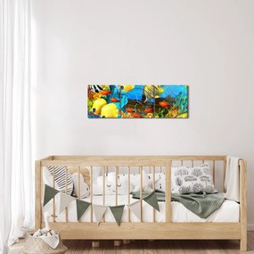 Tablou - Recif de corali colorat (cu ceas) (90x30 cm)