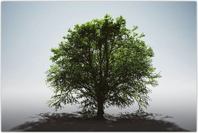 Tablou - Copacul singuratic (90x60 cm)