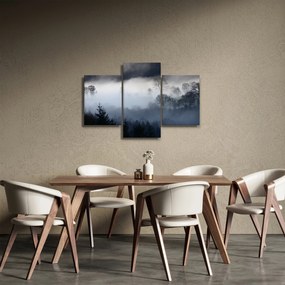Tablou cu ceță deasupra pădurii (90x60 cm)