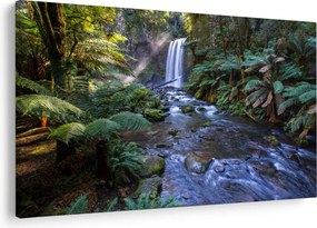 Tablou cu pădurea ploilor din Austalia (90x60 cm)