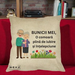 Cadou pentru Bunici - Perna Personalizata Bunicii Mei Comoara Cuplu Senior cu Flori Colorat, 40x40 cm, Crem, Husa Detasabila, Perna Inclusa, BEKZ®