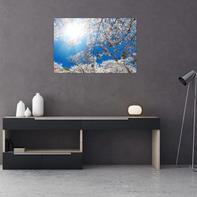 Tablou - Flori de cireș (90x60 cm)