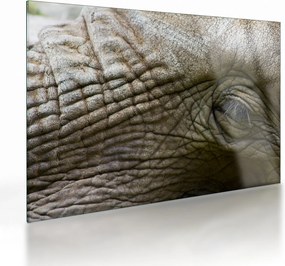 Tablou pe sticlă - Prim-planul ochiului de elefant vechi (70x50 cm)
