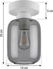 BRILAGI - Lampă LED de tavan R GLASS 1xE27/60W/230V Ø 14 cm alb/gri fumuriu