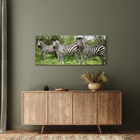 Tablou cu zebre (120x50 cm)