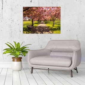 Tablou pe sticlă - livada cu cireși (70x50 cm)