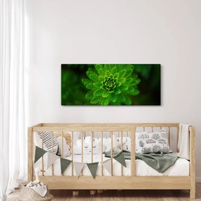 Tablou cu coniferi (120x50 cm)
