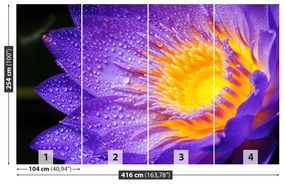Fototapet Purple Lotus