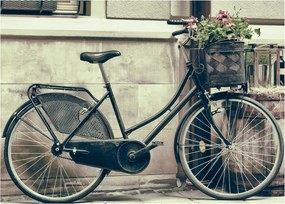 Tablou - Bicicleta de epocă cu flori (70x50 cm)