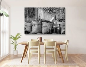 Tablou plante medicinale în design alb-negru