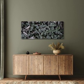 Tablou - Plante înghețate (120x50 cm)