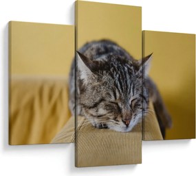 Tablou cu pisica pe fotoliu (90x60 cm)