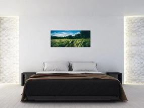 Tablou cu linca și pădure (120x50 cm)
