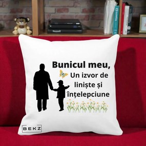 Cadou pentru Bunic - Perna Personalizata Bunicul Meu Izvor de Liniste cu Fluture si Baietel, 40x40 cm, Alba Mata, Husa Detasabila, Perna Inclusa, BEKZ®