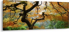 Tablou - Arțarul japonez galben, Portland, Oregon (120x50 cm)