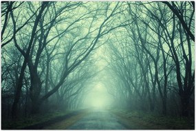 Tablou - Alee cu copaci (90x60 cm)