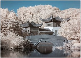 Tablou - pomi înfloriți în Asia (70x50 cm)