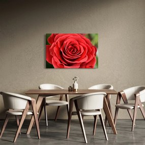Tablou - Flori de trandafir (90x60 cm)