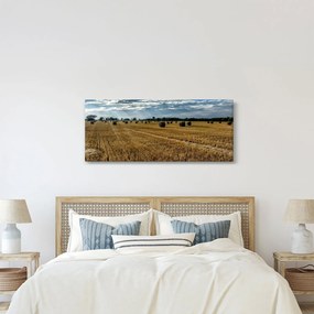 Tablou cu câmp recoltat (120x50 cm)