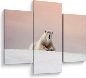Tablou - Urs polar (90x60 cm)