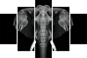 Tablou - Elefant pe fundal negru (150x105 cm)