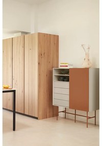 Comodă cărămizie-bej înaltă cu ușă glisantă 120x140 cm Nube – Teulat