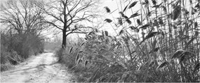 Tablou - Câmpuri în timpul iernii (120x50 cm)