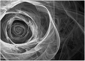 Tablou - Abstract trandafir negru și alb (70x50 cm)