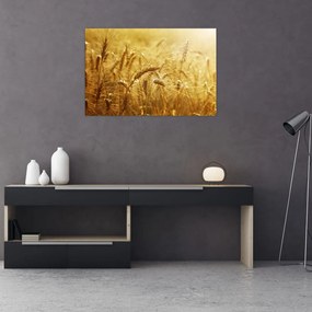 Tablou - Spice de cereale (90x60 cm)