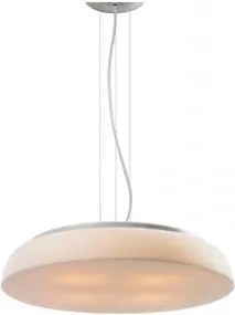 AZzardo Biscotto 77 AZ0563