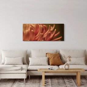 Tablou cu detailu florii (120x50 cm)