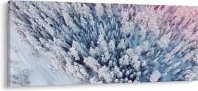 Tablou cu copaci înzăpeziți (120x50 cm)