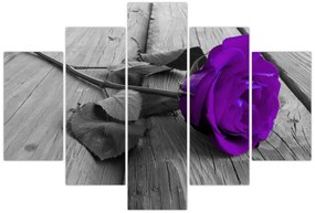 Tablou - Trandafir violet cu tulpina verde (150x105 cm)
